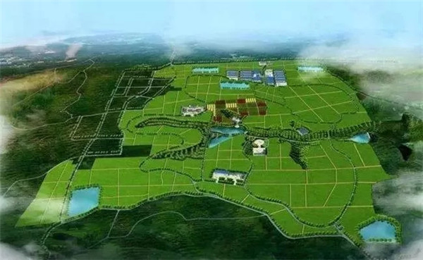 202002071581039071447788.jpg 640.webp (9).jpg