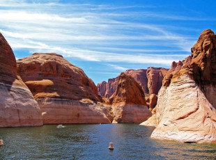 農業農村部：加強實驗室生物安全管理 保障畜牧業生產安全